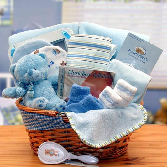 Simply Baby Basics Deluxe Gift Basket-Boy